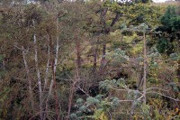 /album/ecosistemas-de-mexico1/dk1267-catemaco-veracruz-jpg/